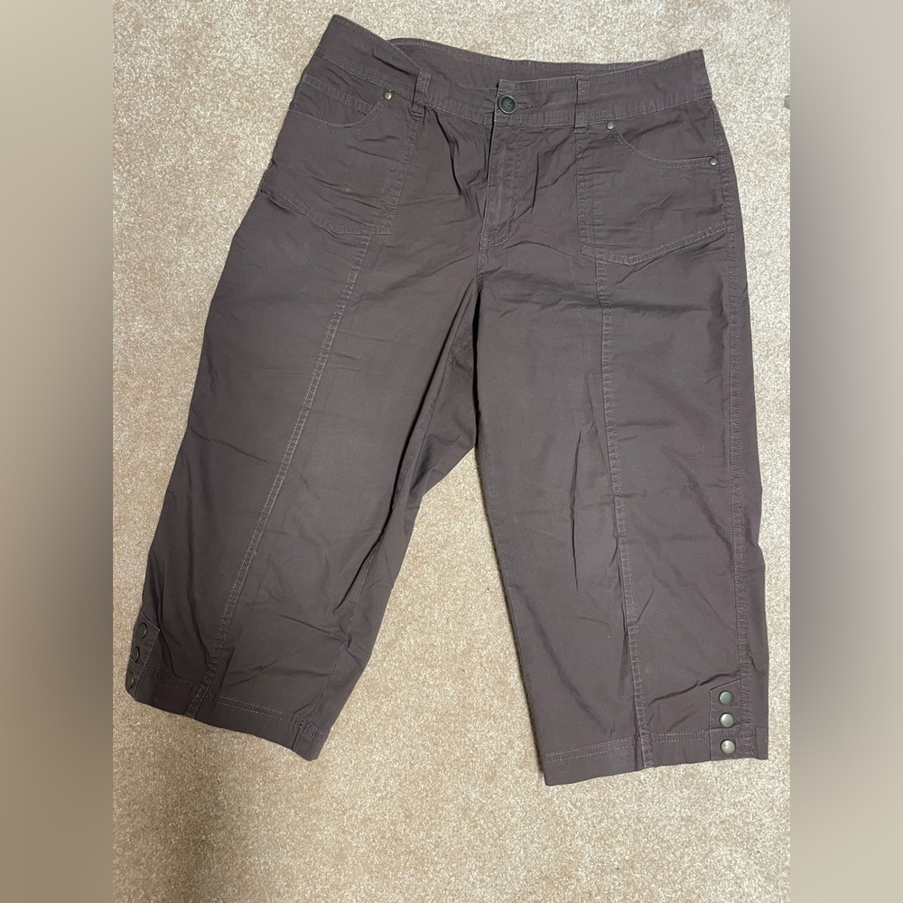 Kim Rogers Size 14 Cropped Pants